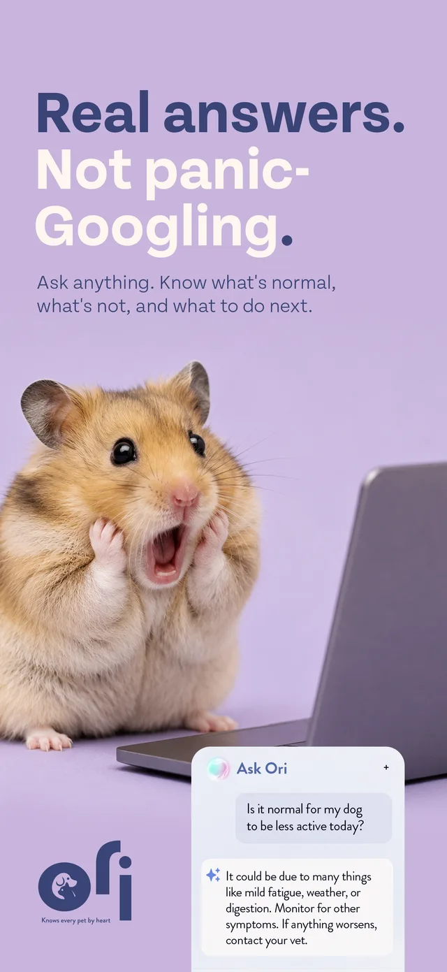 Ori app — real answers instead of panic-Googling